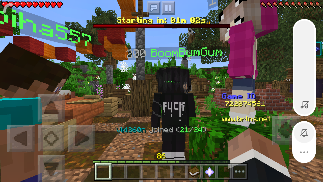 Screenshot_2019-06-06-16-40-24-841_com.mojang.minecraftpe.png