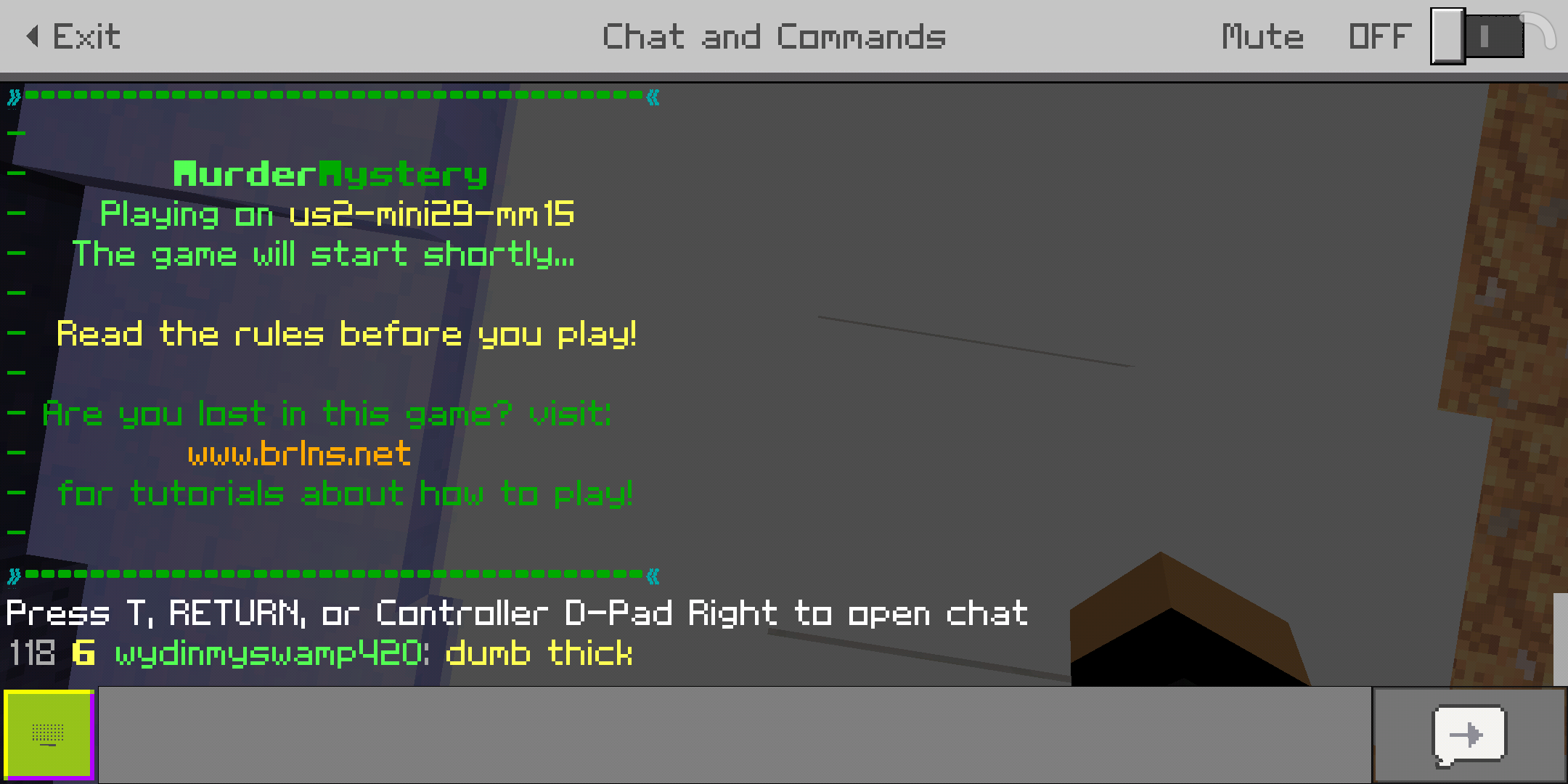 Screenshot_2019-06-16-12-59-11-220_com.mojang.minecraftpe.png