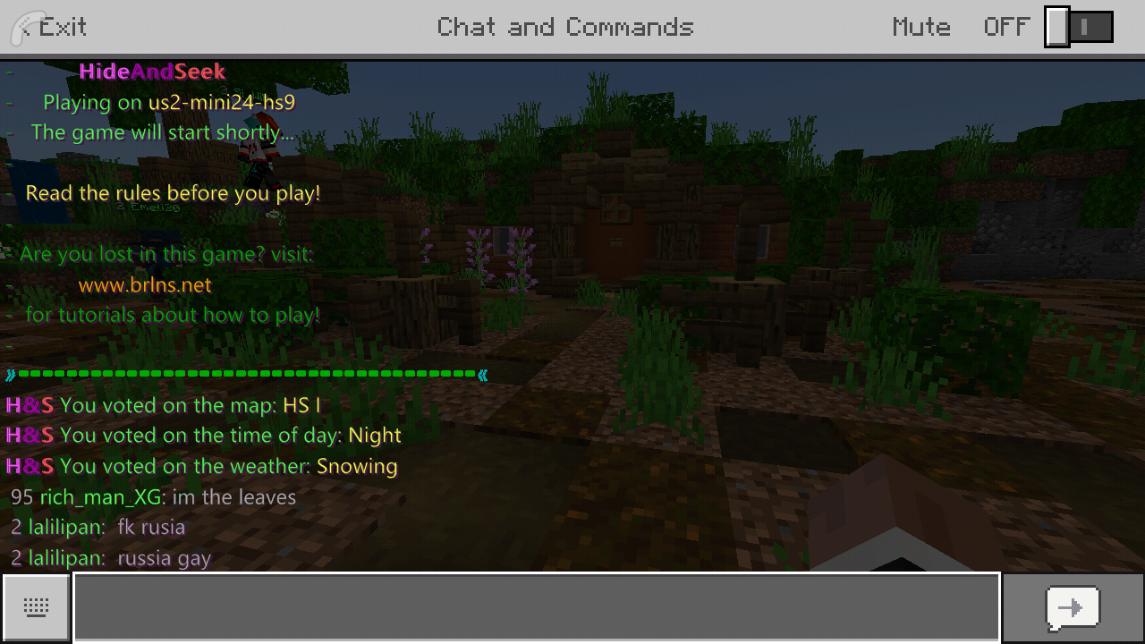 Screenshot_2019-06-25-13-15-54-930_com.mojang.minecraftpe.png