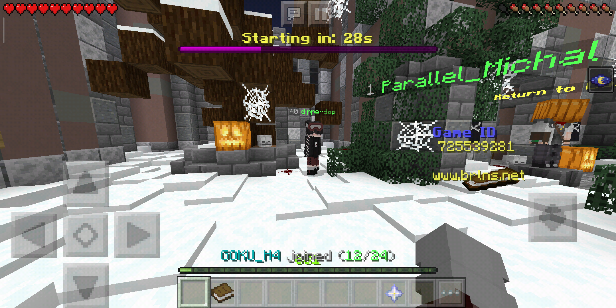 Screenshot_2019-10-08-09-15-46-102_com.mojang.minecraftpe.png