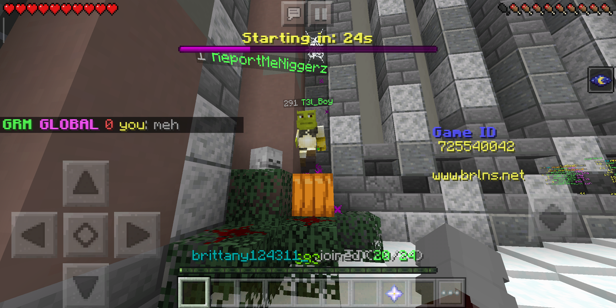 Screenshot_2019-10-08-11-25-20-145_com.mojang.minecraftpe.png