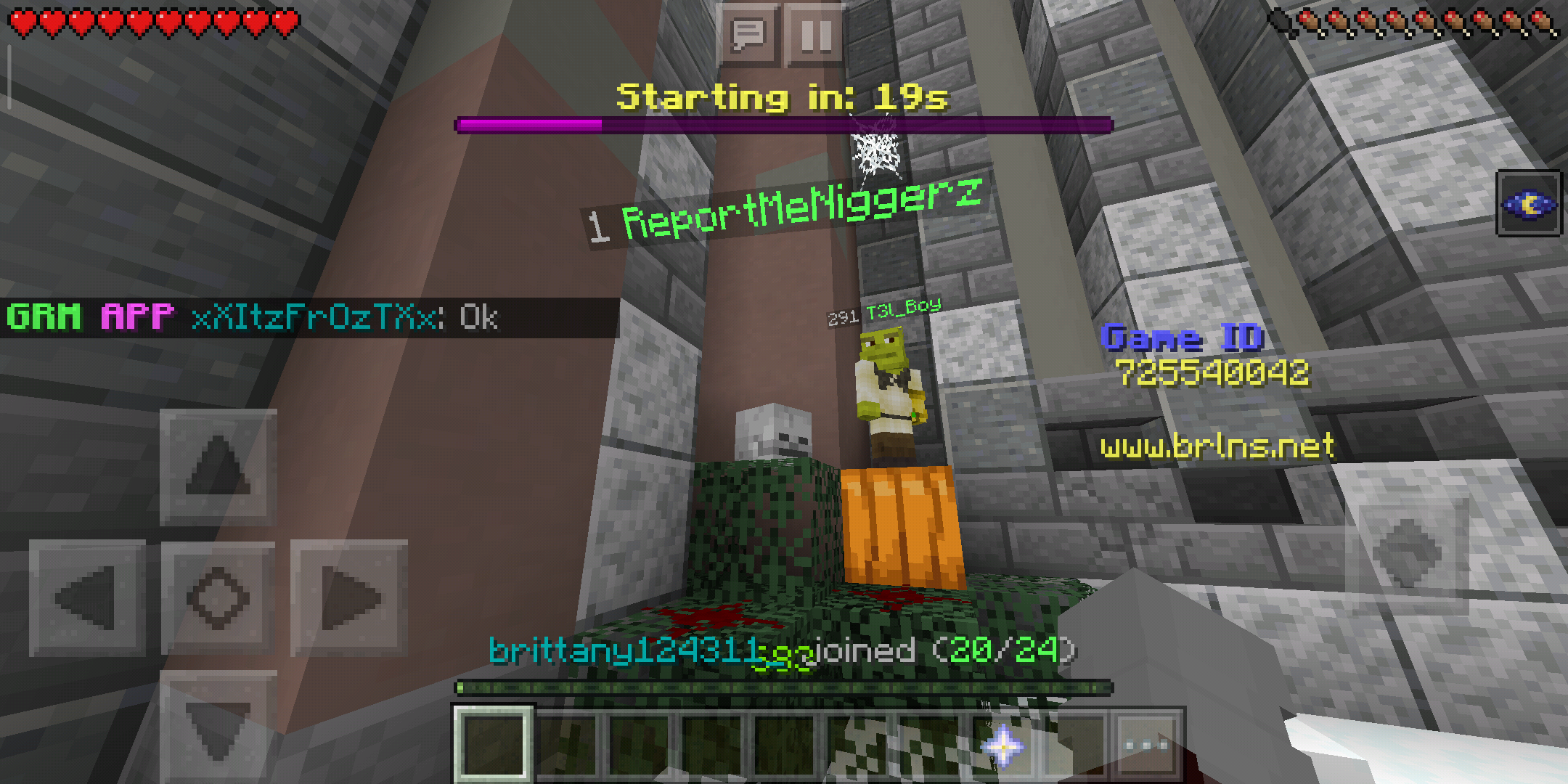 Screenshot_2019-10-08-11-25-25-191_com.mojang.minecraftpe.png