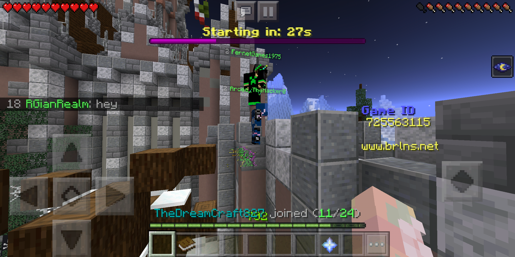 Screenshot_2019-10-10-10-49-44-599_com.mojang.minecraftpe.png