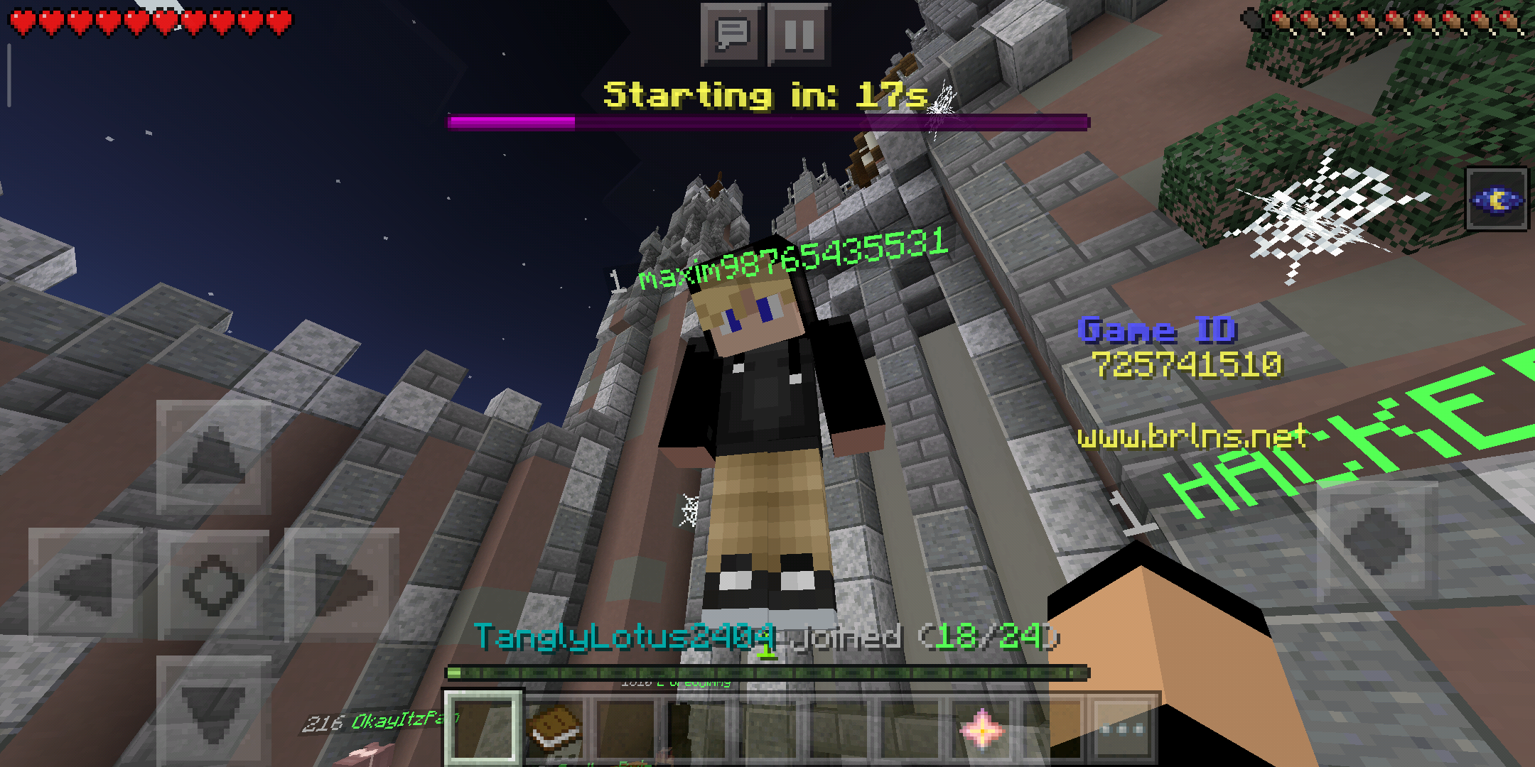 Screenshot_2019-10-23-16-00-04-440_com.mojang.minecraftpe.png