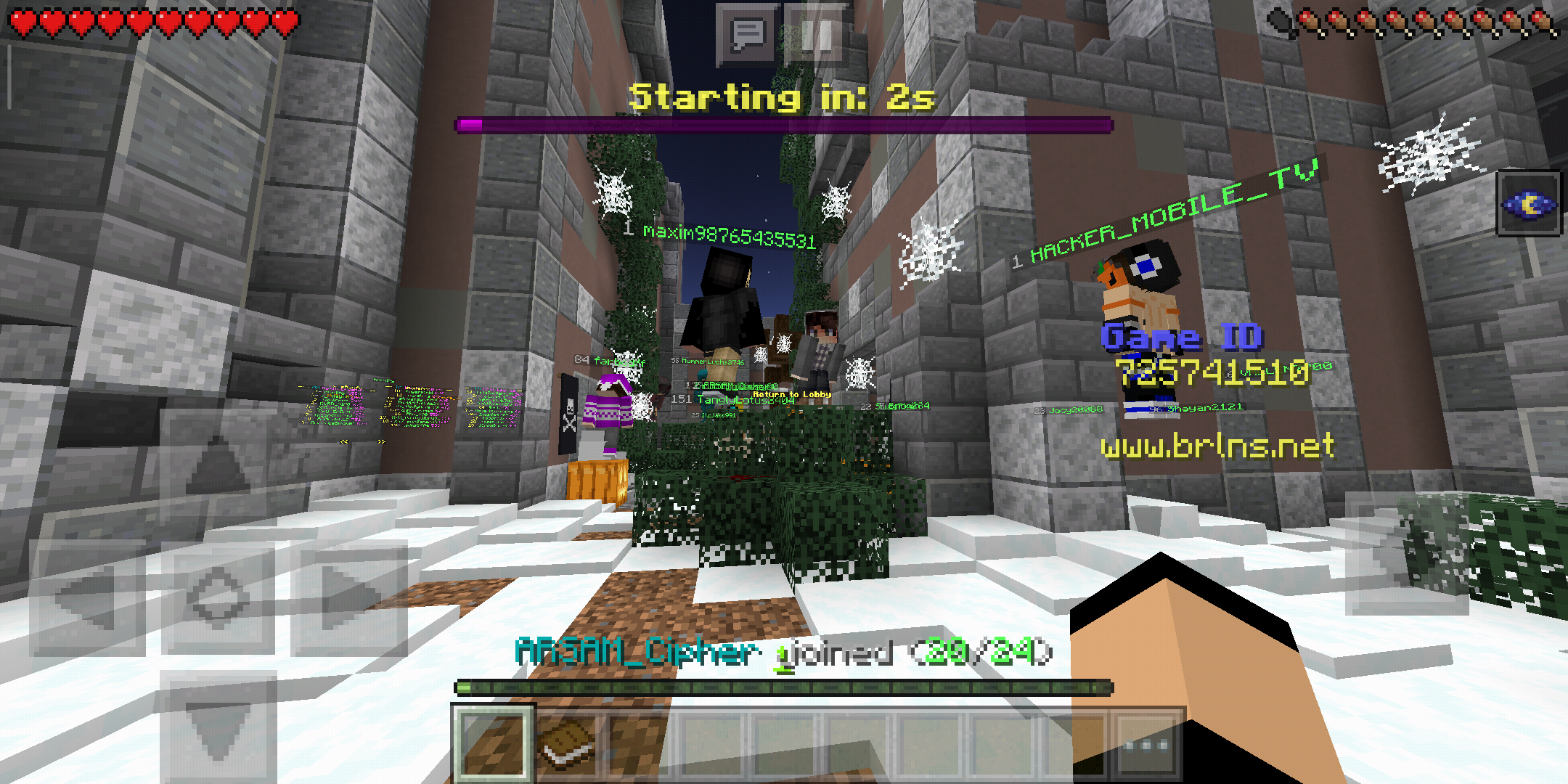 Screenshot_2019-10-23-16-00-19-391_com.mojang.minecraftpe.png