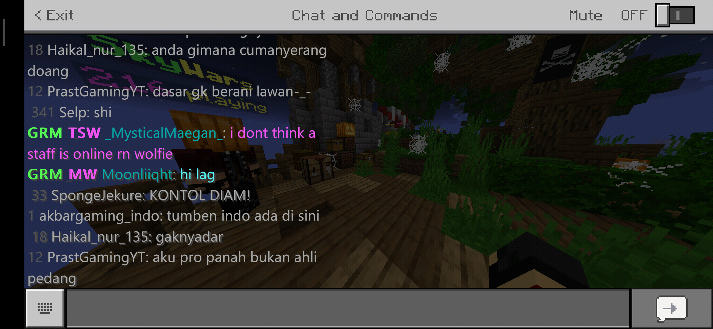 Screenshot_2019-10-26-14-38-11-948_com.mojang.minecraftpe.png