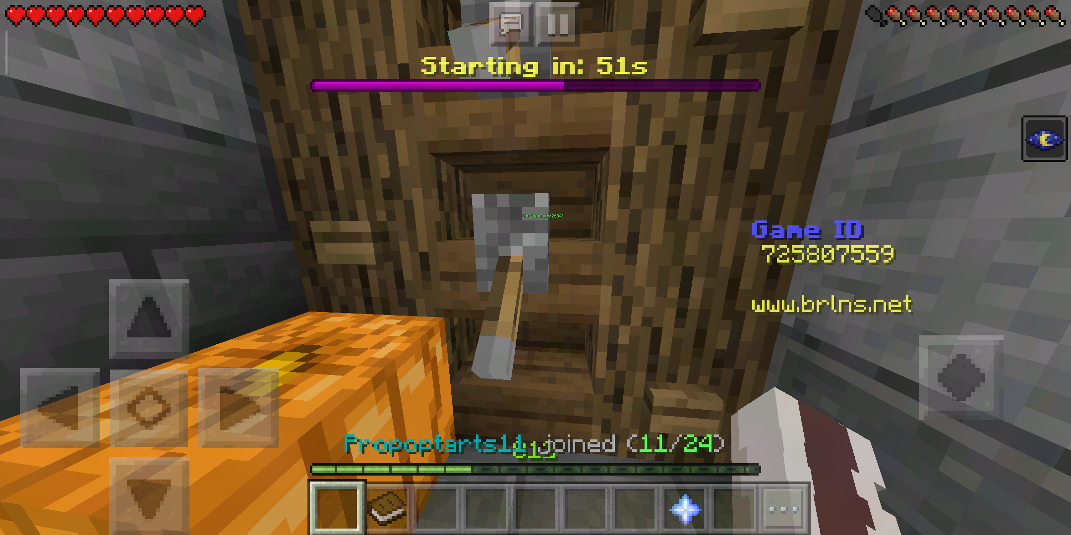 Screenshot_2019-10-28-14-15-25-109_com.mojang.minecraftpe.png
