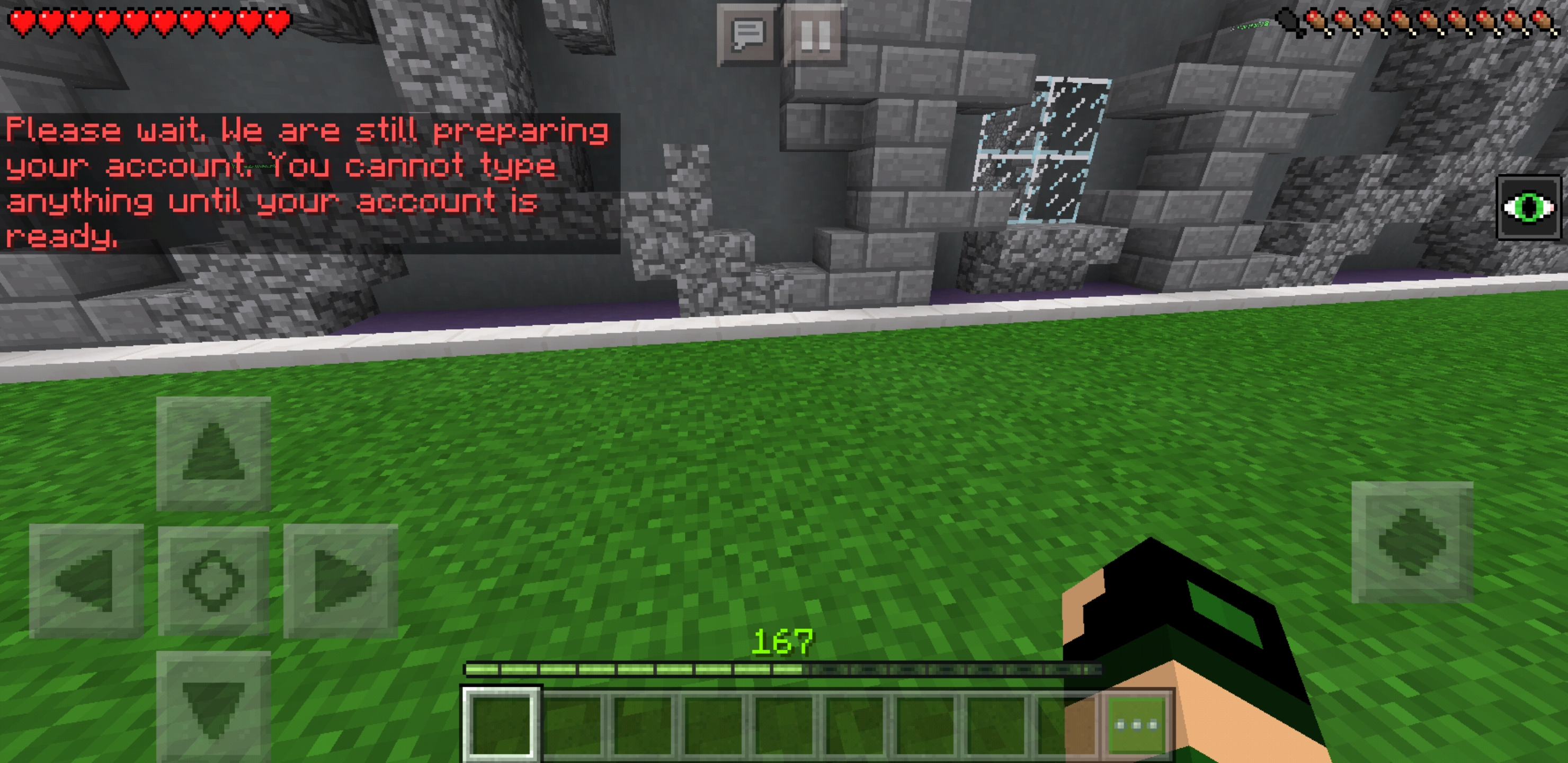 Screenshot_20190101-184048_Minecraft.jpg