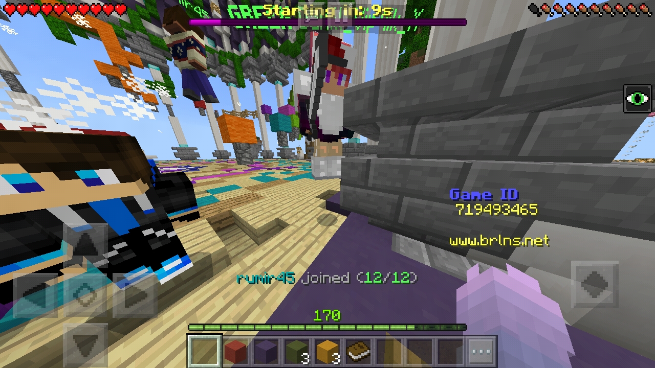 Screenshot_20190108-172535_Minecraft.jpg