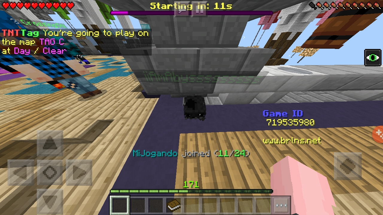 Screenshot_20190110-215649_Minecraft.jpg
