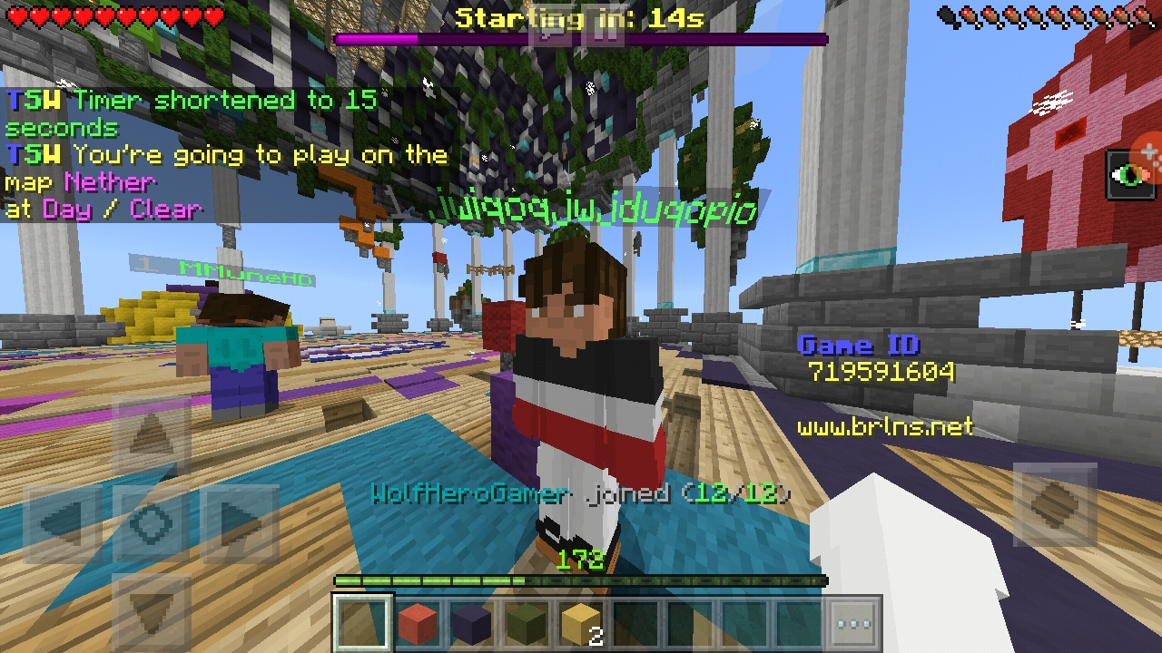 Screenshot_20190113-001855_Minecraft.jpg