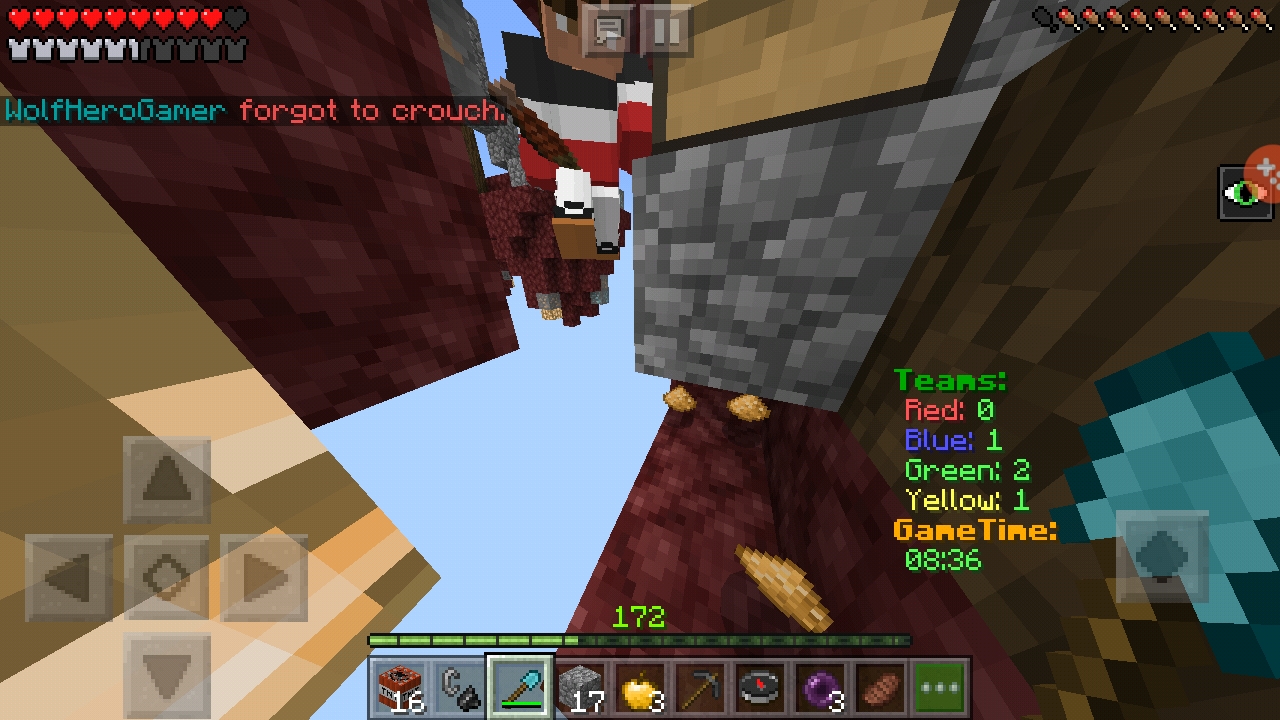 Screenshot_20190113-002048_Minecraft.jpg
