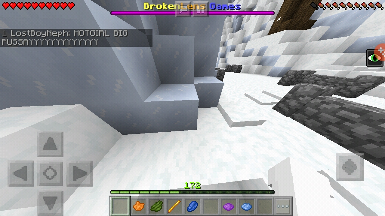 Screenshot_20190113-095151_Minecraft.jpg