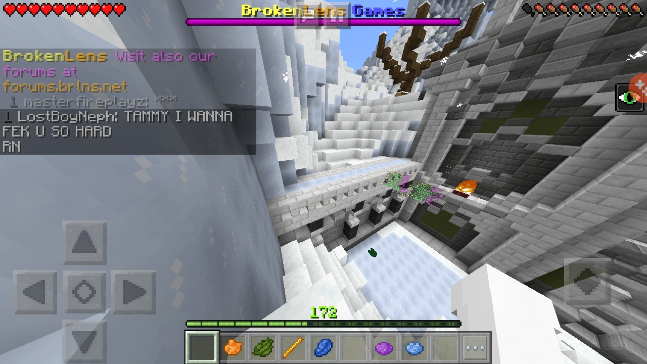 Screenshot_20190113-100523_Minecraft.jpg