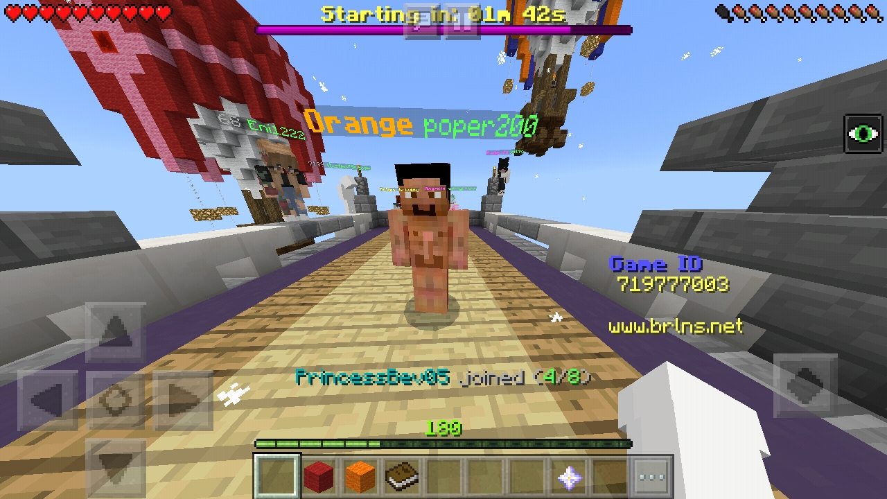 Screenshot_20190120-163318_Minecraft.jpg
