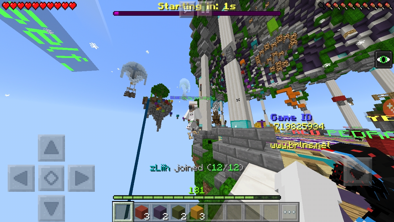Screenshot_20190122-213209_Minecraft.jpg