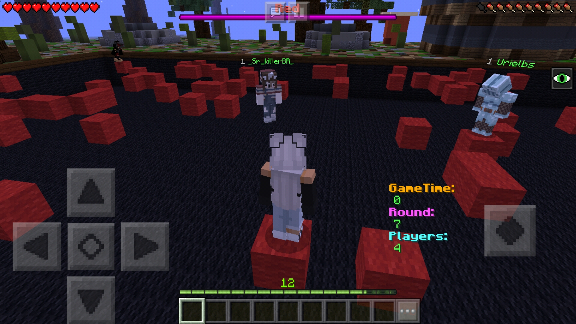 Screenshot_20190124-035127_Minecraft.jpg