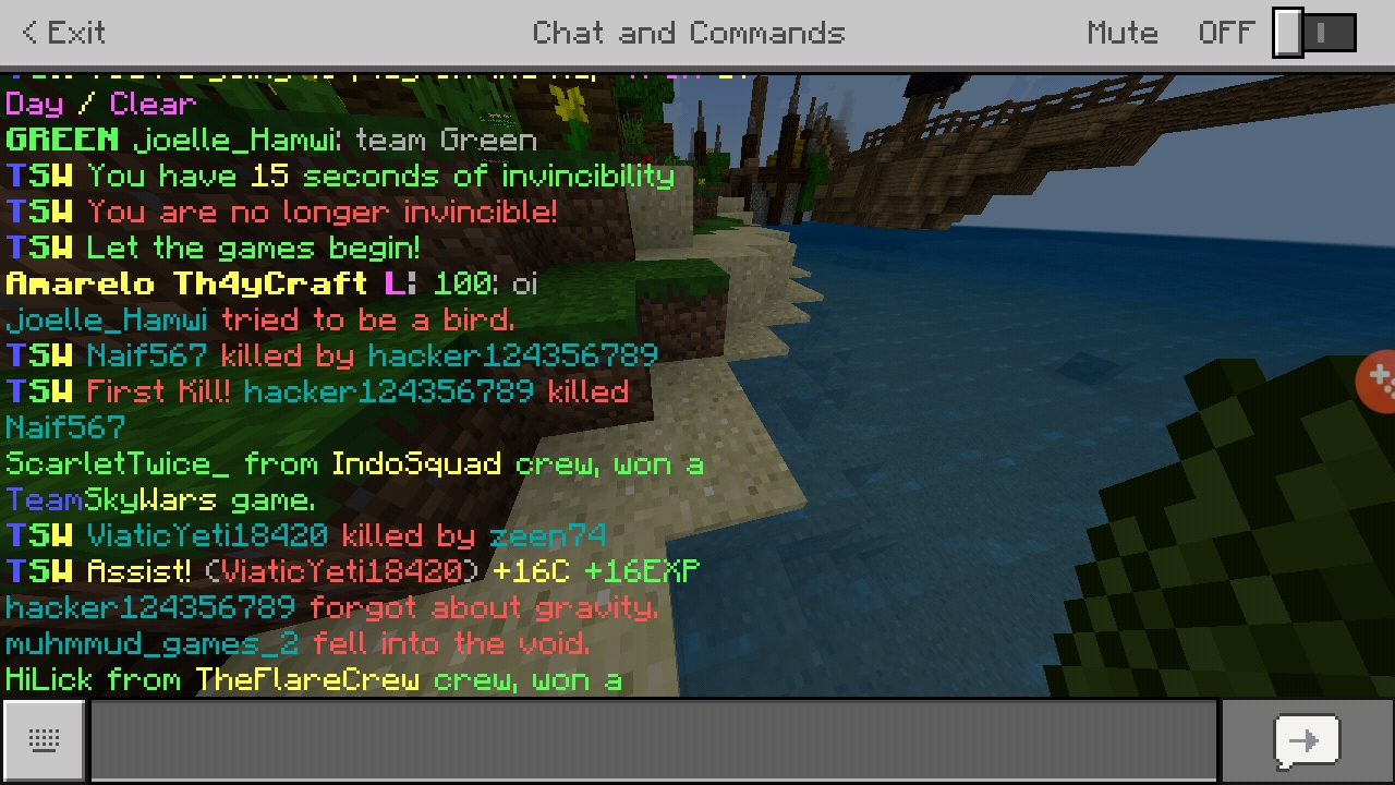 Screenshot_20190124-141452_Minecraft.jpg