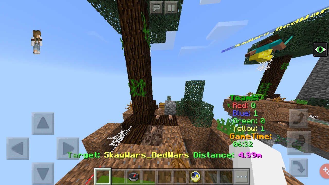 Screenshot_20190124-191254_Minecraft.jpg