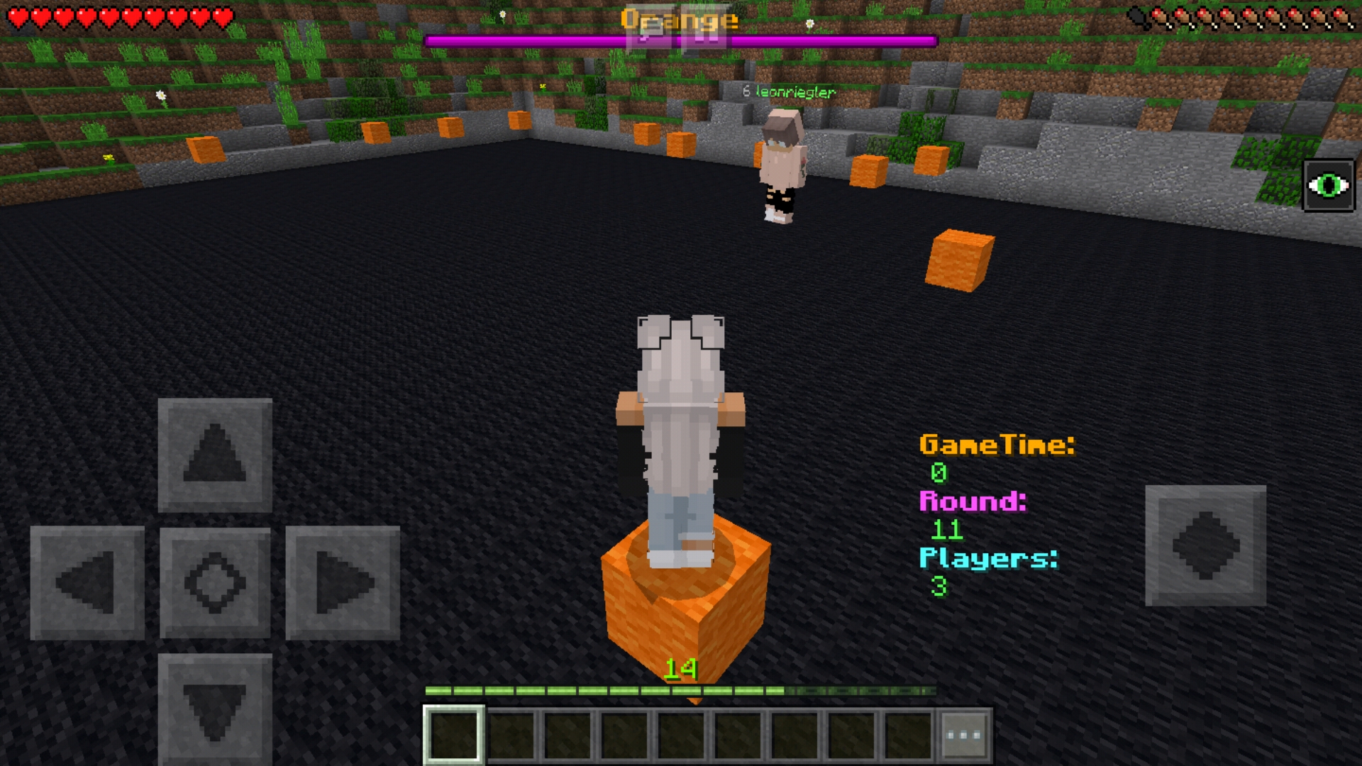 Screenshot_20190124-233040_Minecraft.jpg