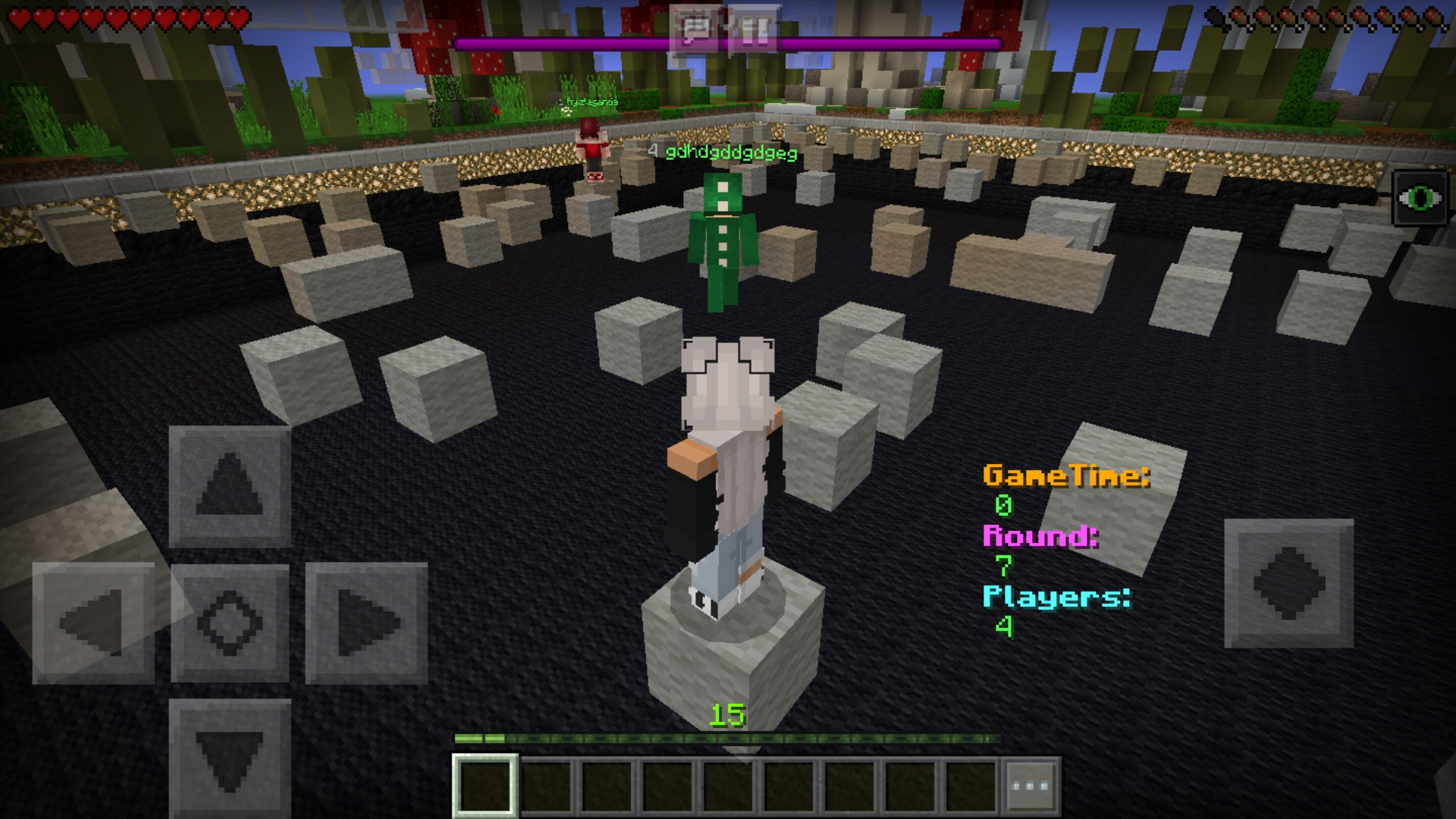 Screenshot_20190124-235534_Minecraft.jpg