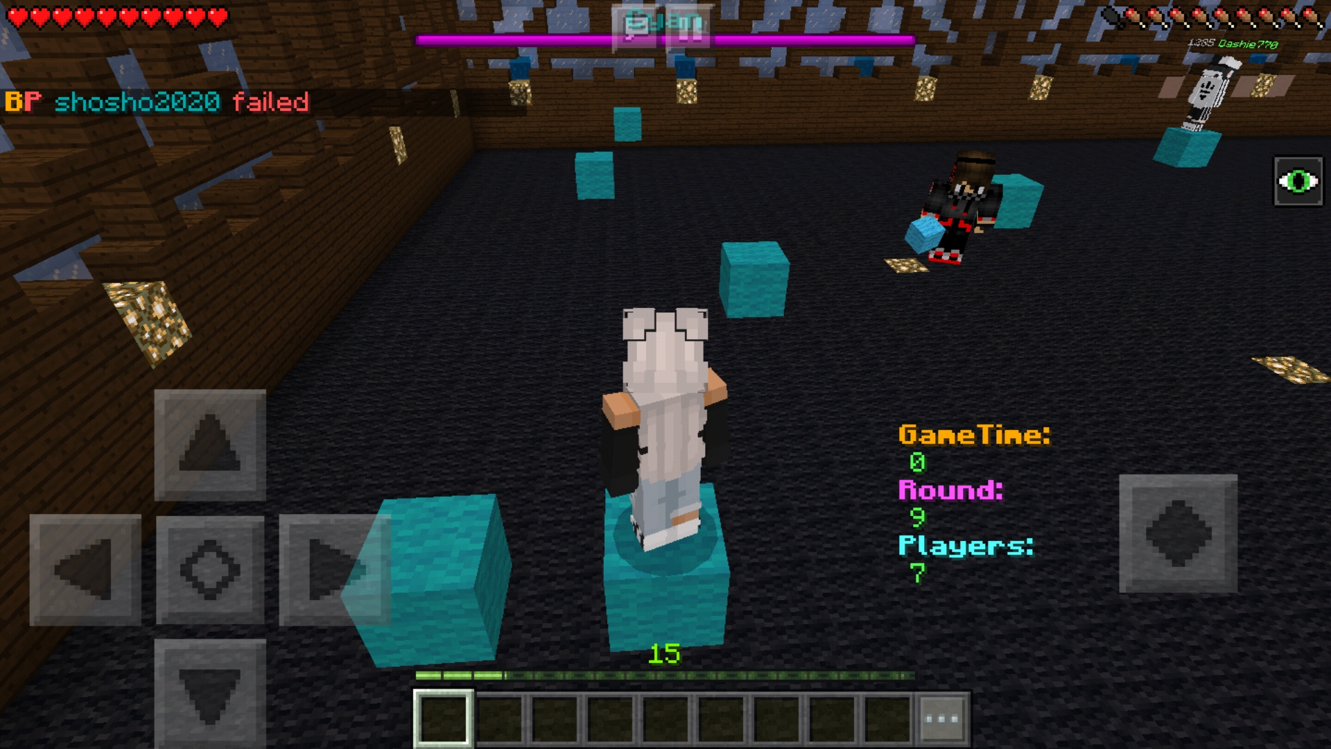 Screenshot_20190124-235902_Minecraft.jpg