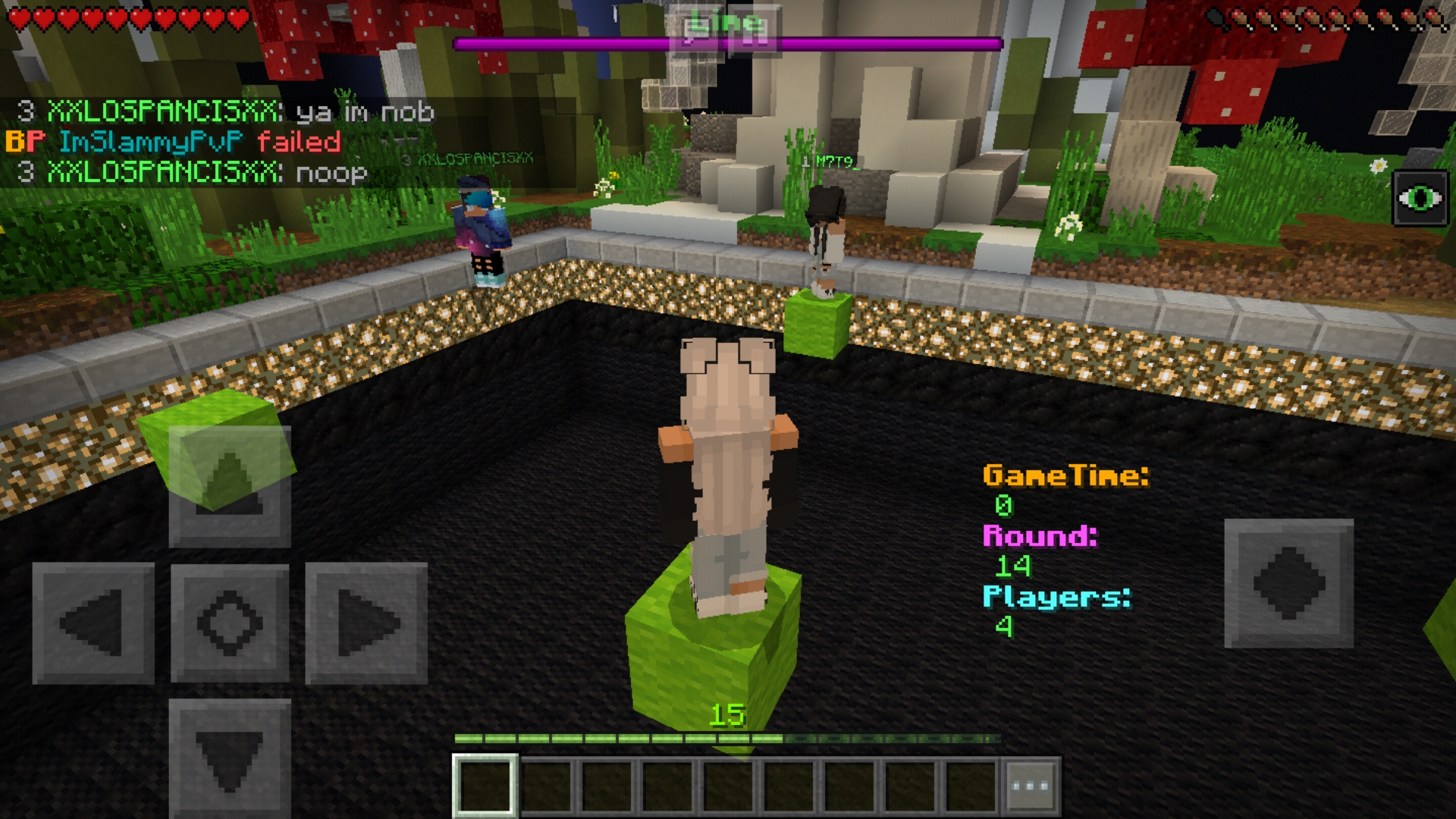 Screenshot_20190125-003630_Minecraft.jpg