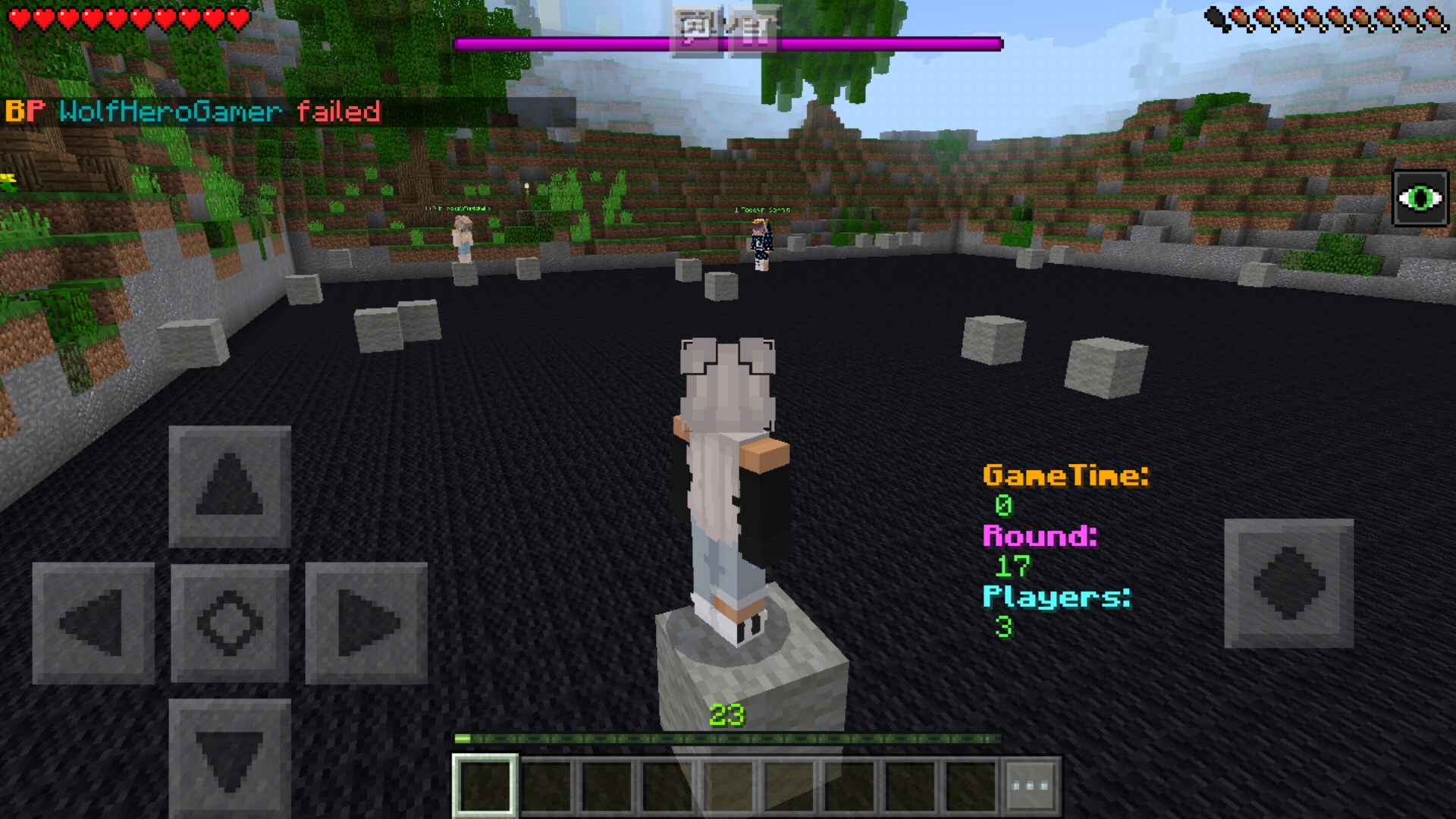 Screenshot_20190131-004003_Minecraft.jpg