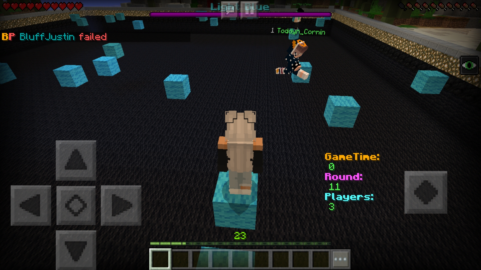 Screenshot_20190131-004322_Minecraft.jpg