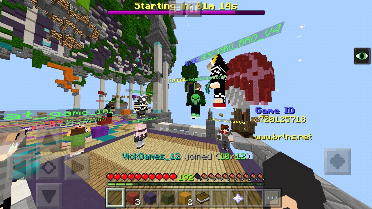 Screenshot_20190201-205336_Minecraft.jpg