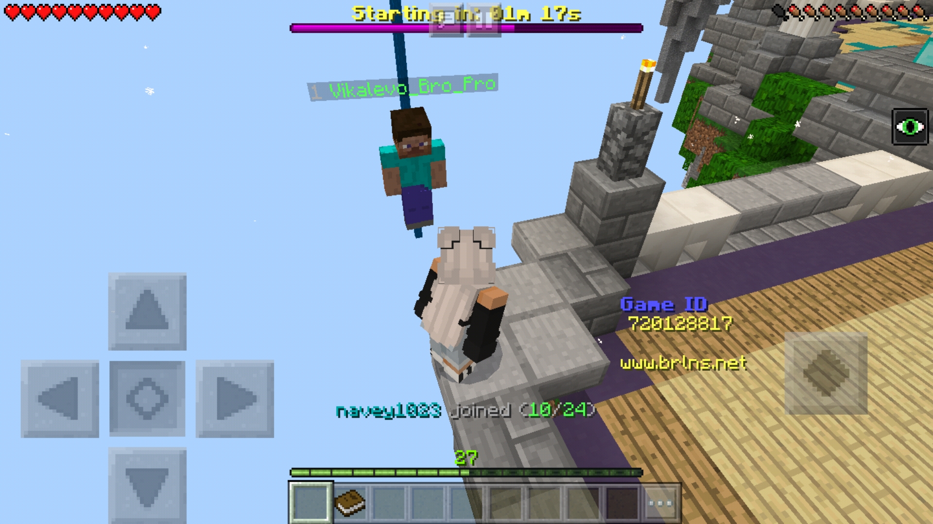 Screenshot_20190201-233612_Minecraft.jpg
