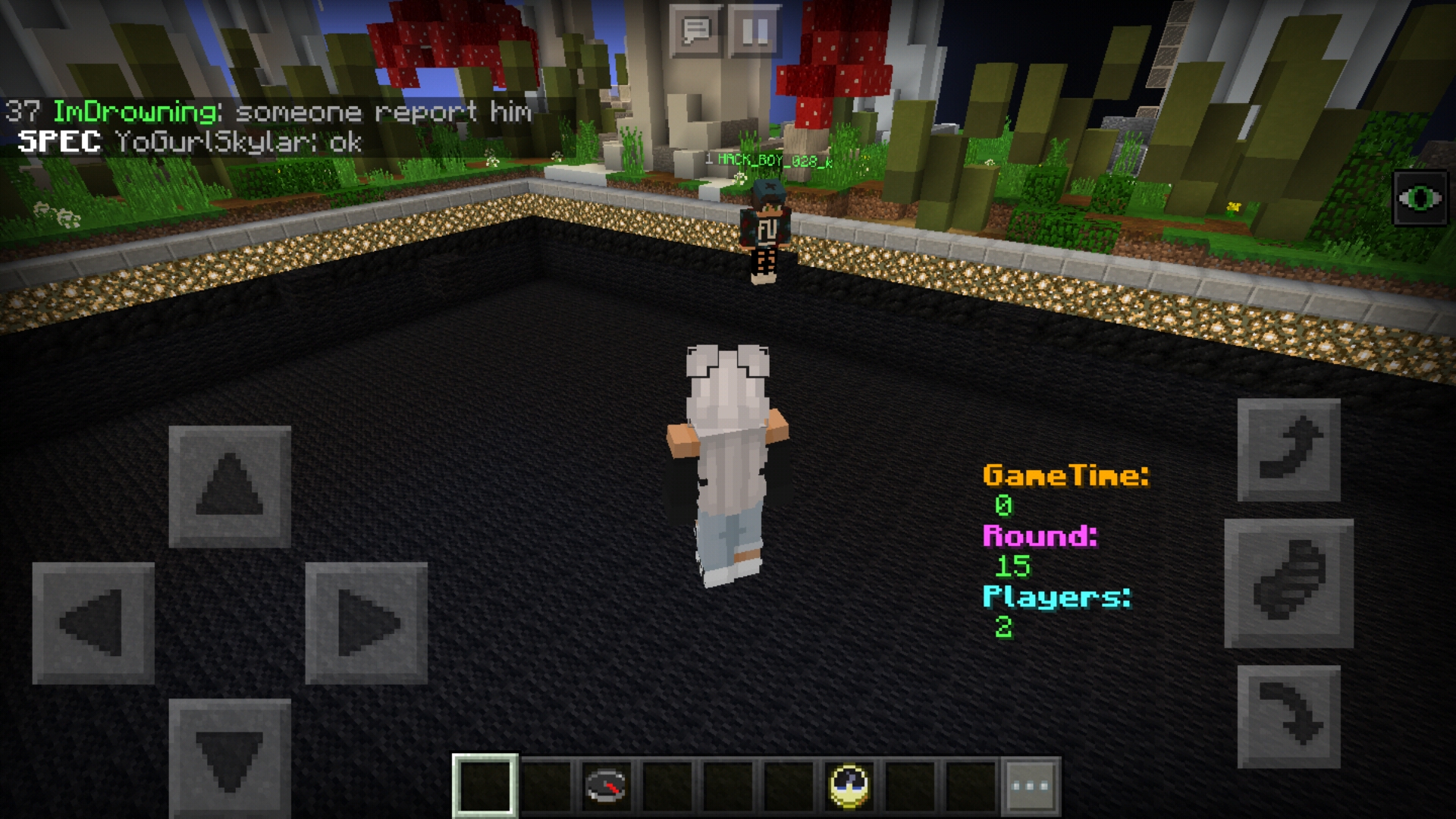Screenshot_20190202-015932_Minecraft.jpg