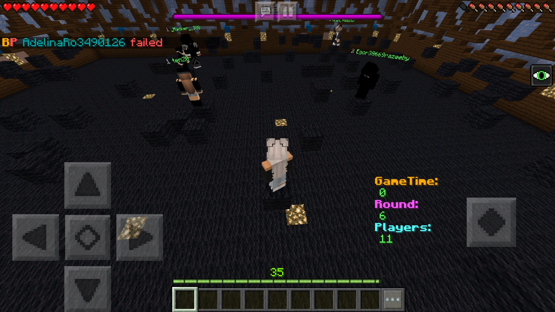 Screenshot_20190203-130912_Minecraft.jpg