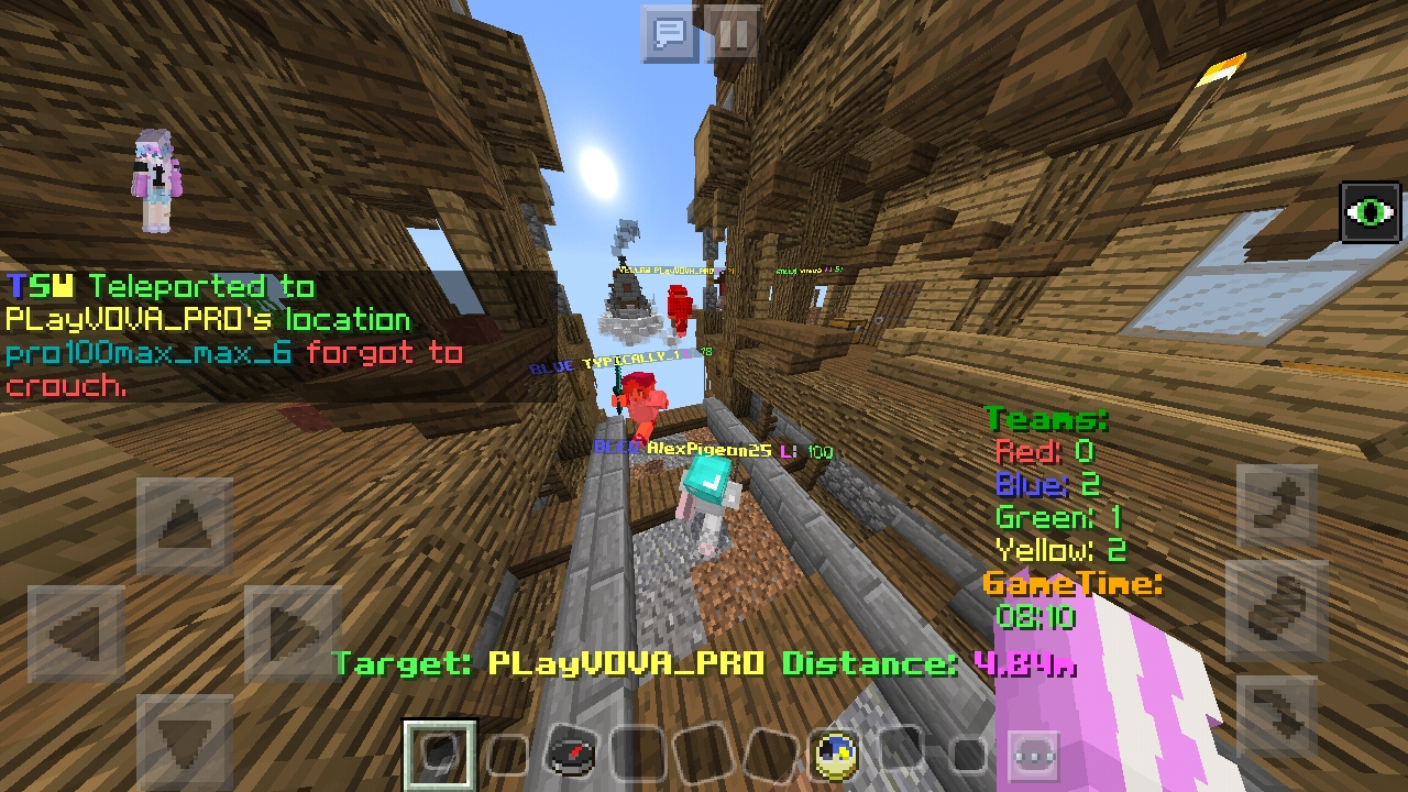 Screenshot_20190206-090447_Minecraft.jpg