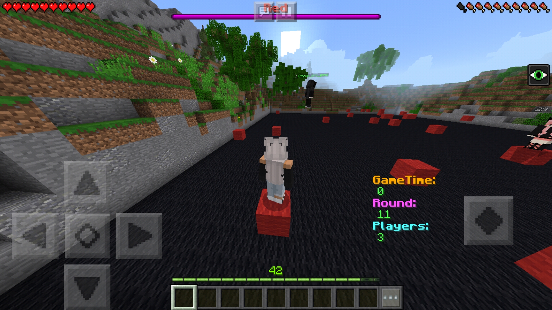 Screenshot_20190208-011907_Minecraft.jpg