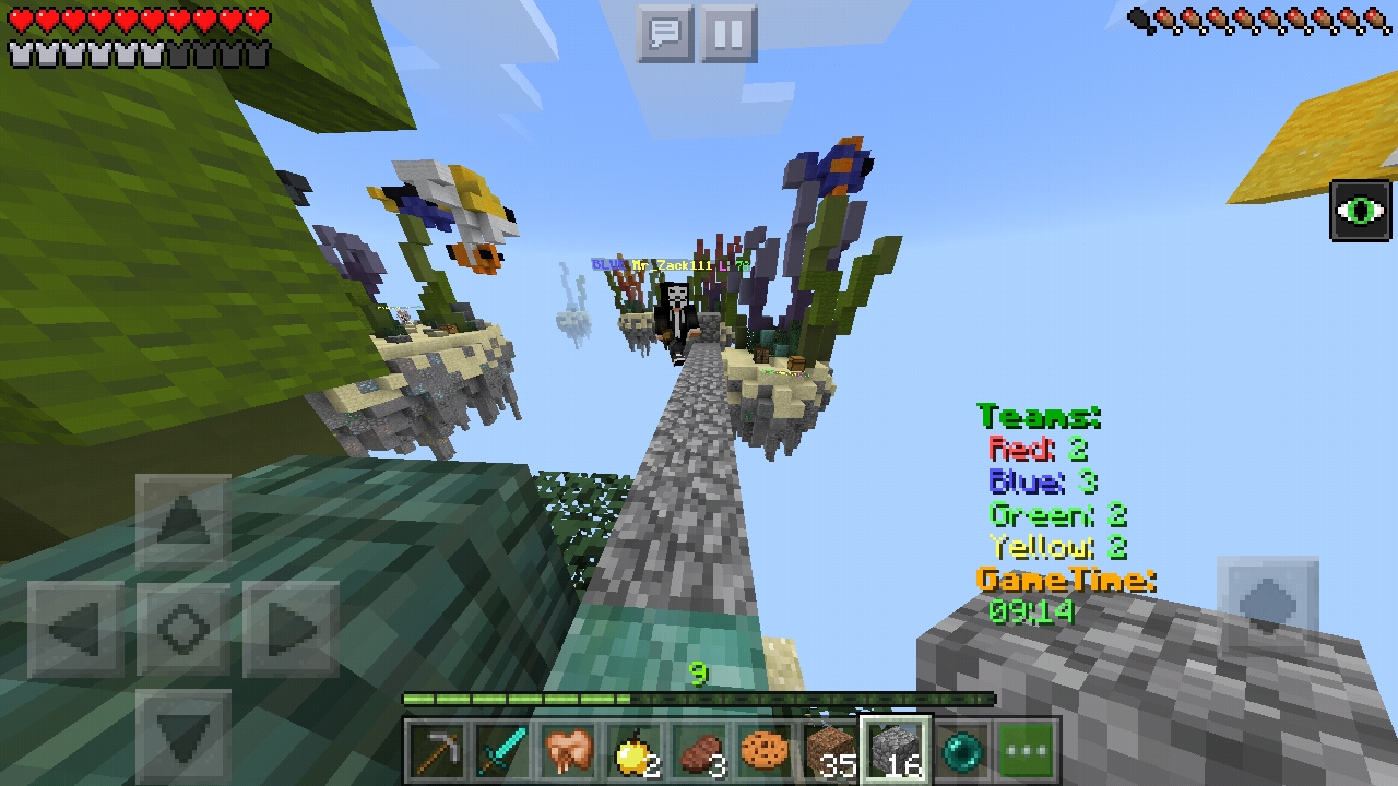 Screenshot_20190209-134234_Minecraft.jpg