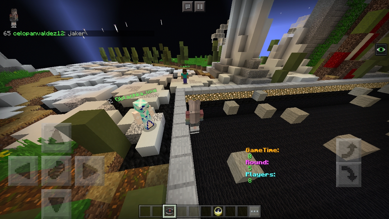 Screenshot_20190210-132105_Minecraft.jpg