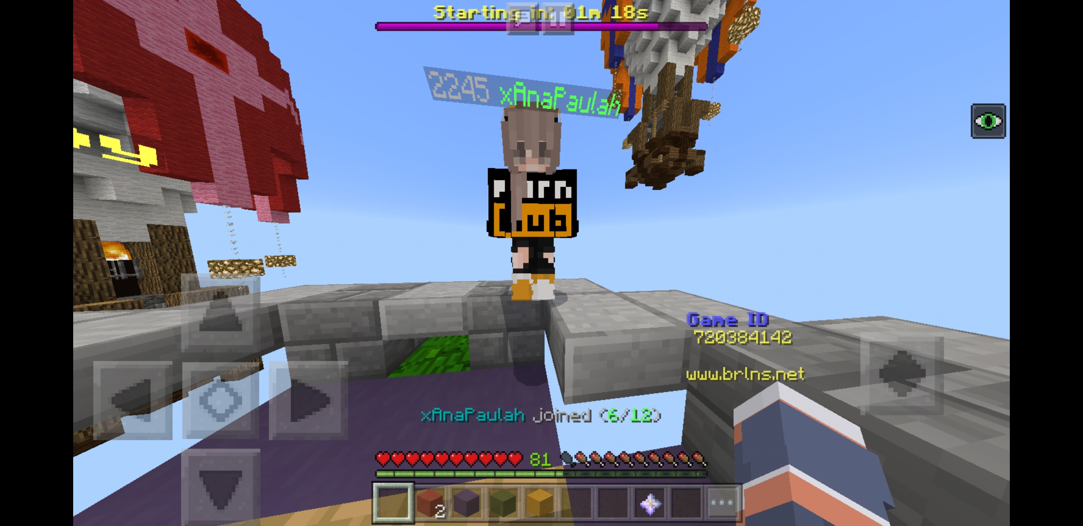 Screenshot_20190211-002622_Minecraft.jpg