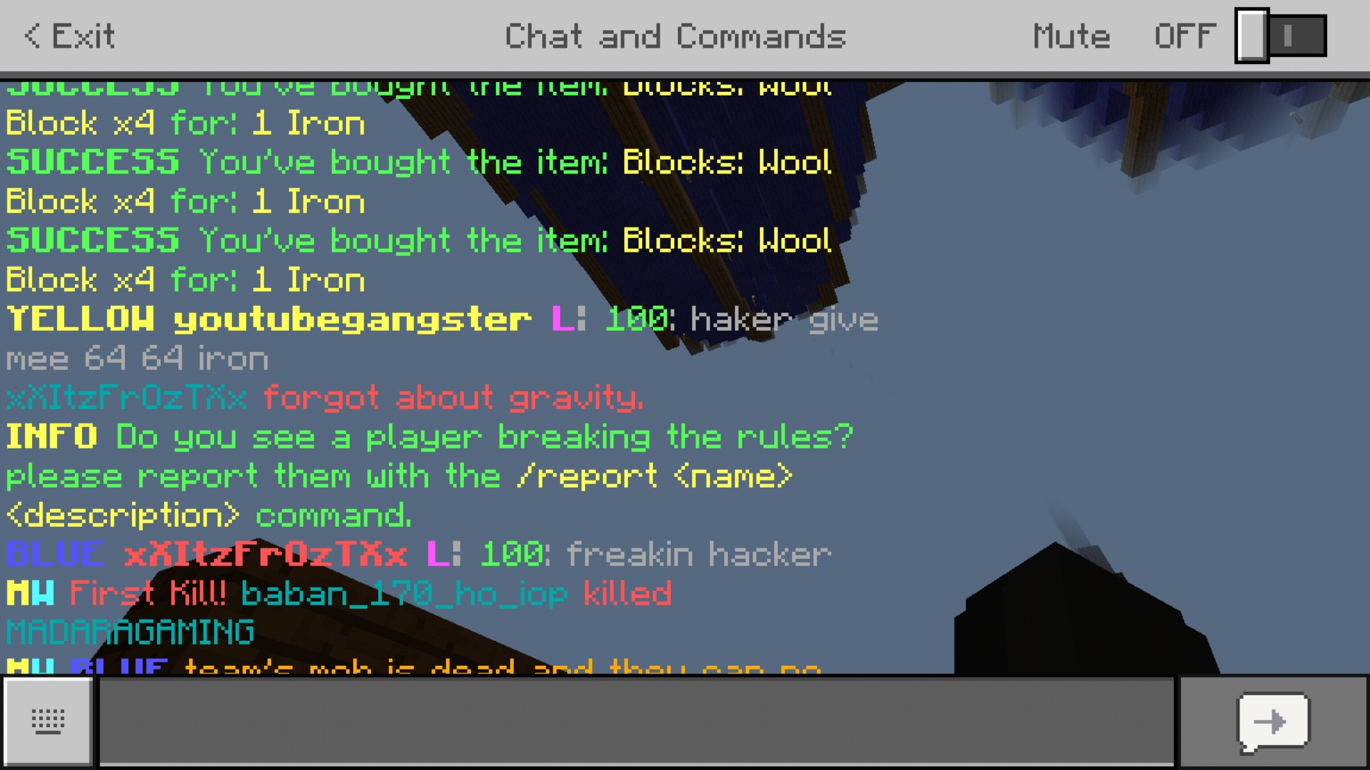 Screenshot_20190213-215939_Minecraft.jpg