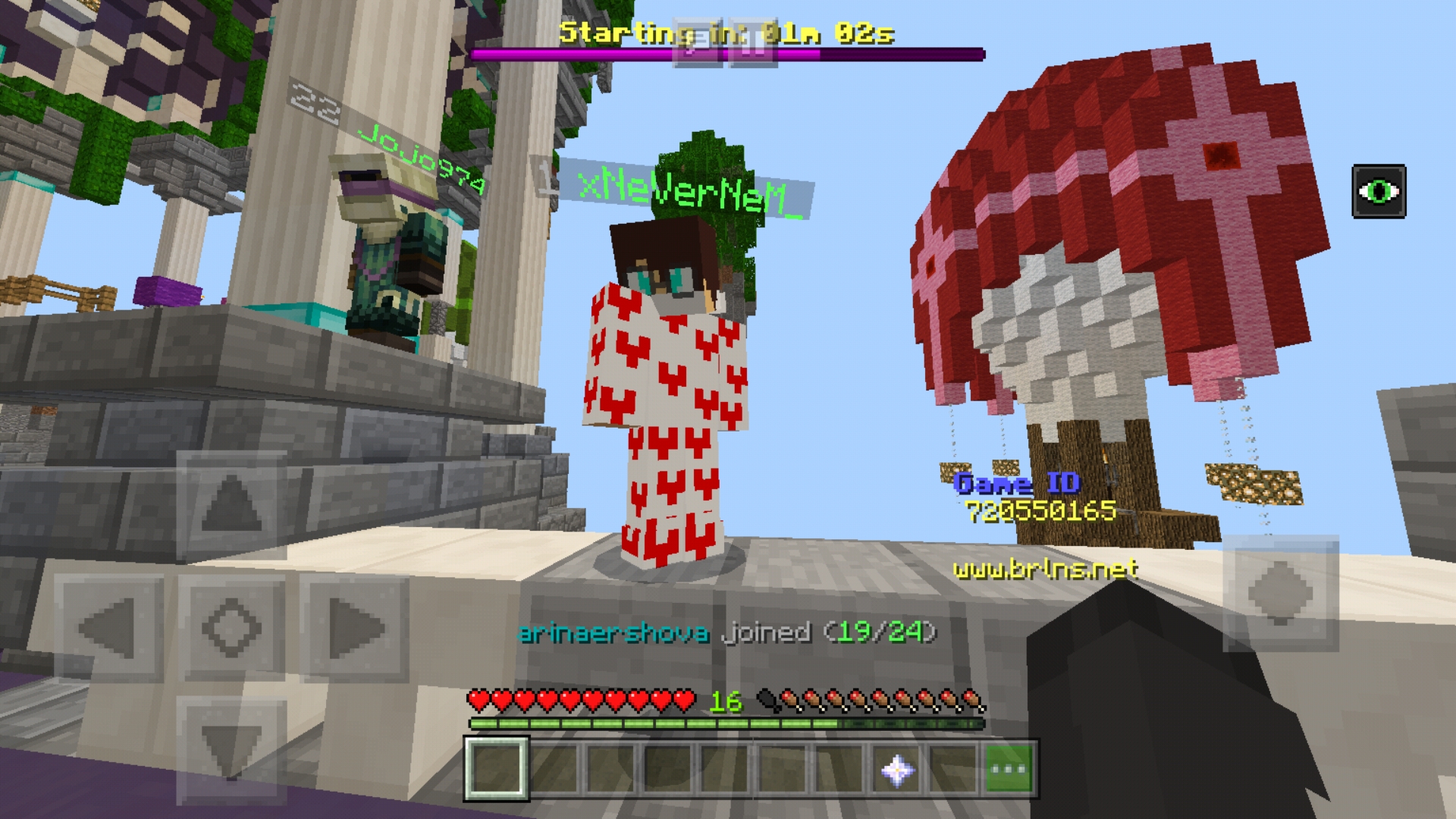 Screenshot_20190218-180259_Minecraft.jpg