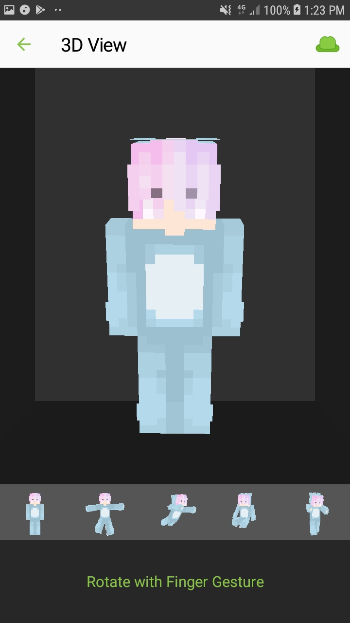 Screenshot_20190219-132348_Skinseed.jpg