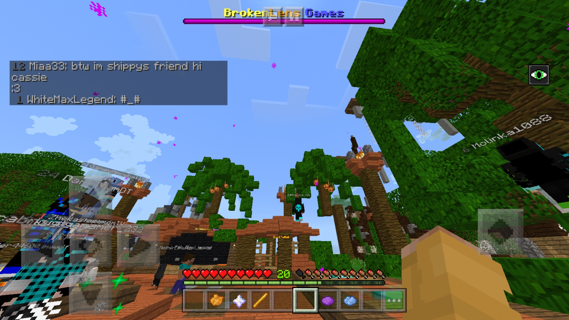 Screenshot_20190219-204854_Minecraft.jpg