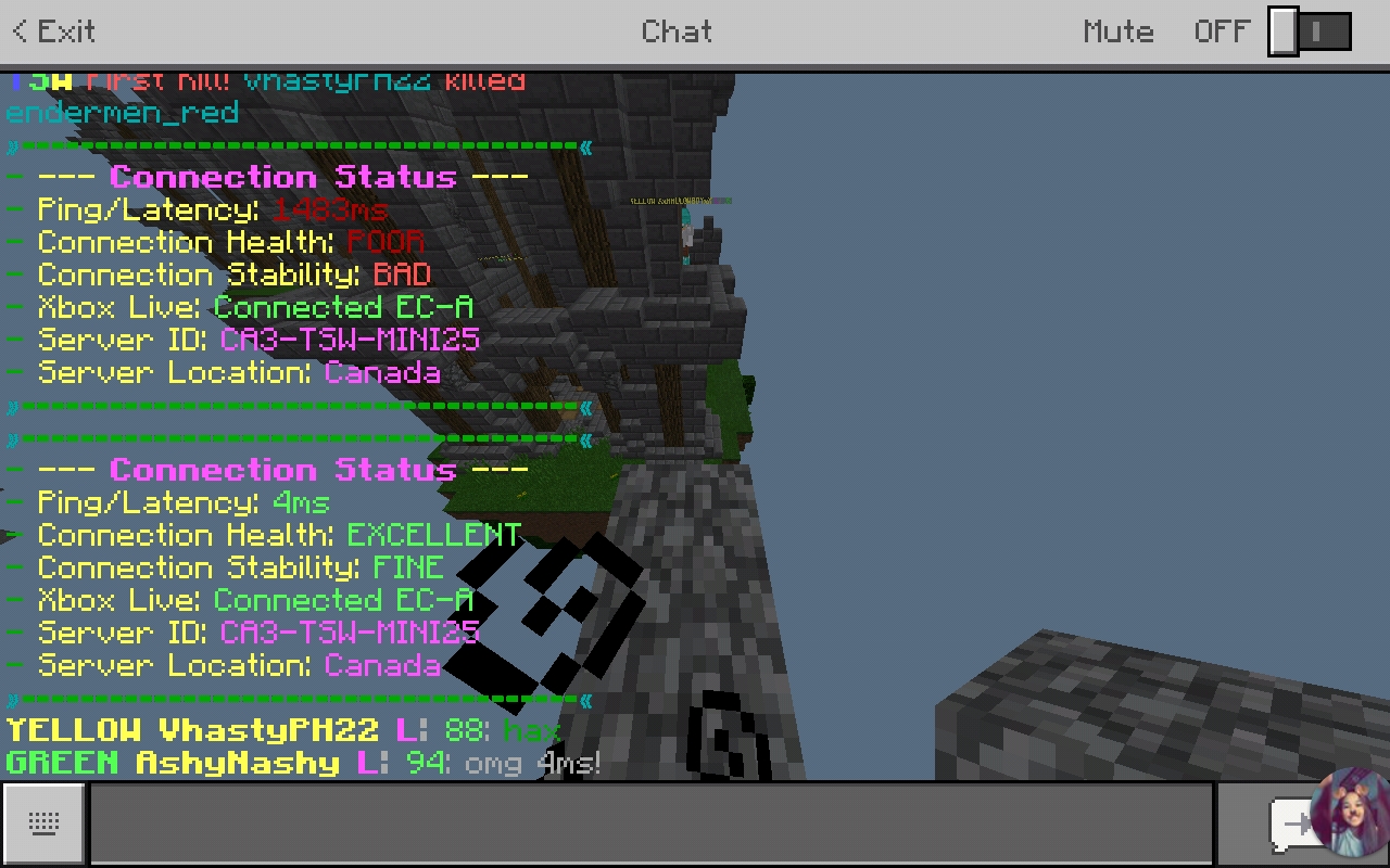 Screenshot_20190220-192356_Minecraft.jpg
