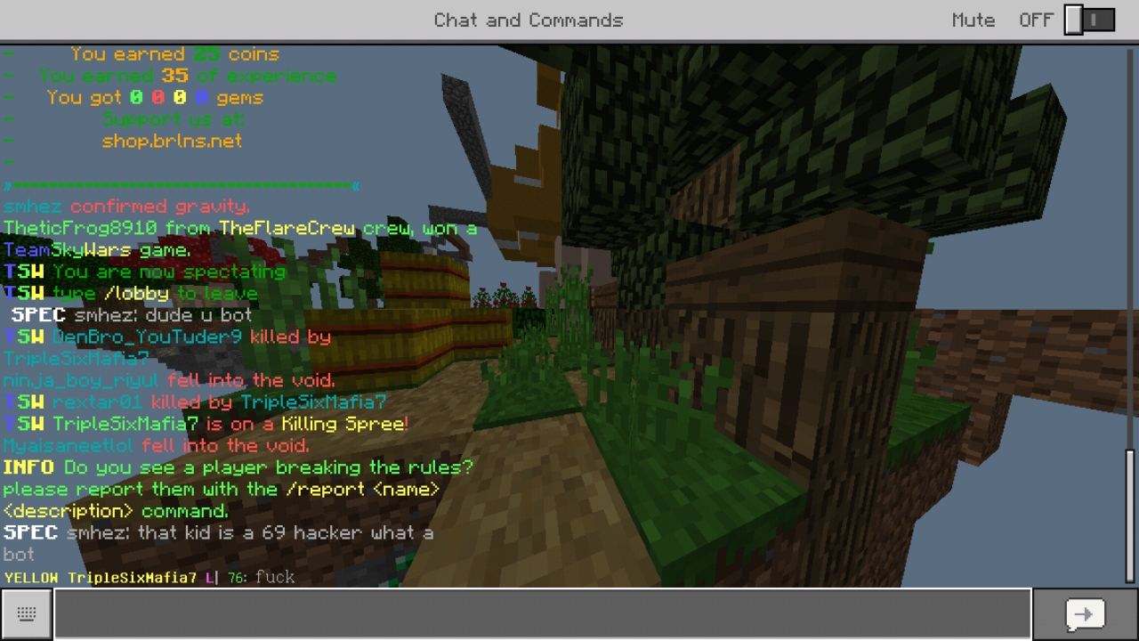 Screenshot_20190221-213105_Minecraft.jpg