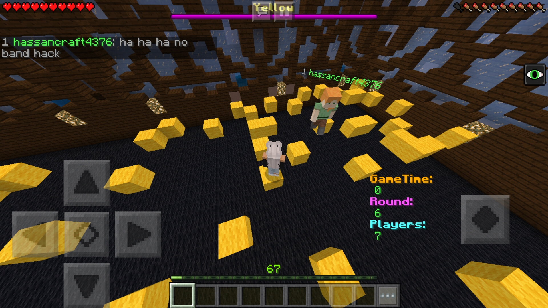 Screenshot_20190227-000340_Minecraft.jpg