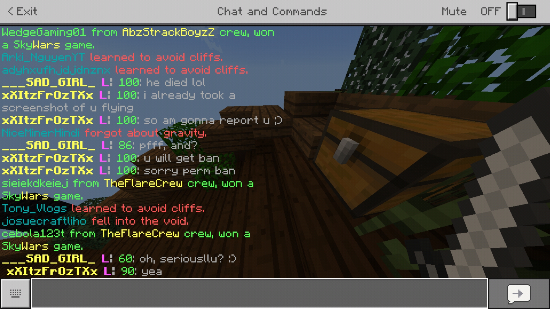Screenshot_20190303-145239_Minecraft.jpg