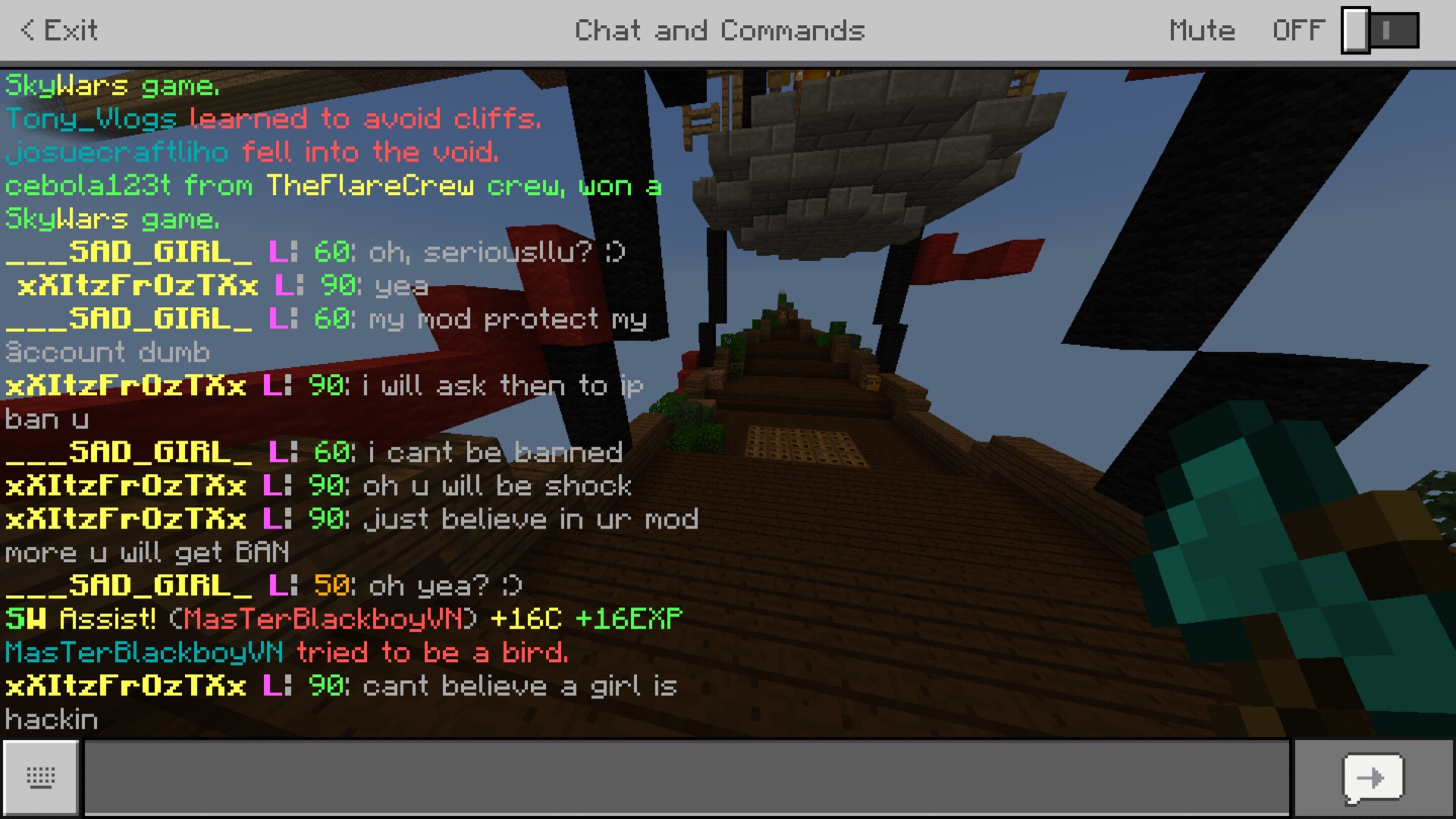 Screenshot_20190303-145355_Minecraft.jpg