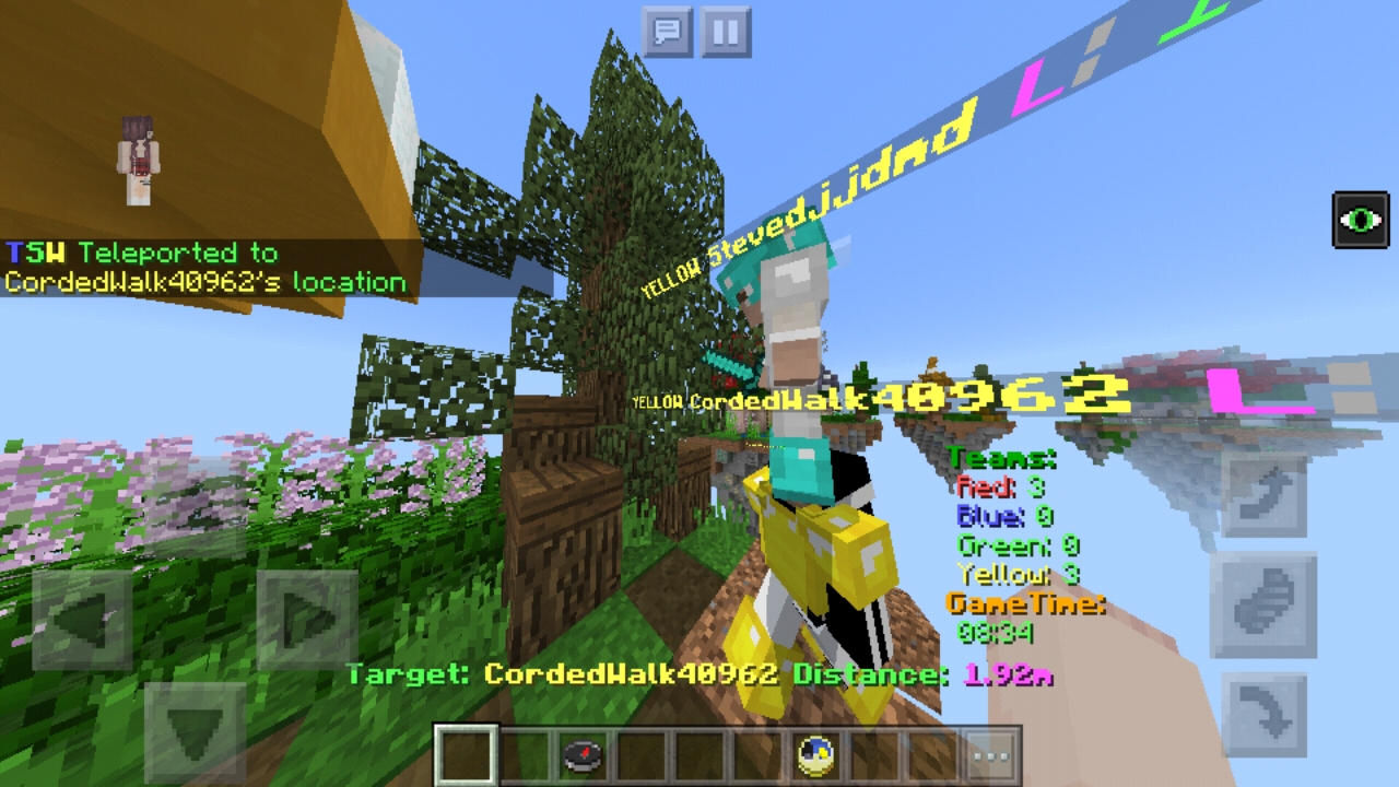 Screenshot_20190311-191730_Minecraft.jpg