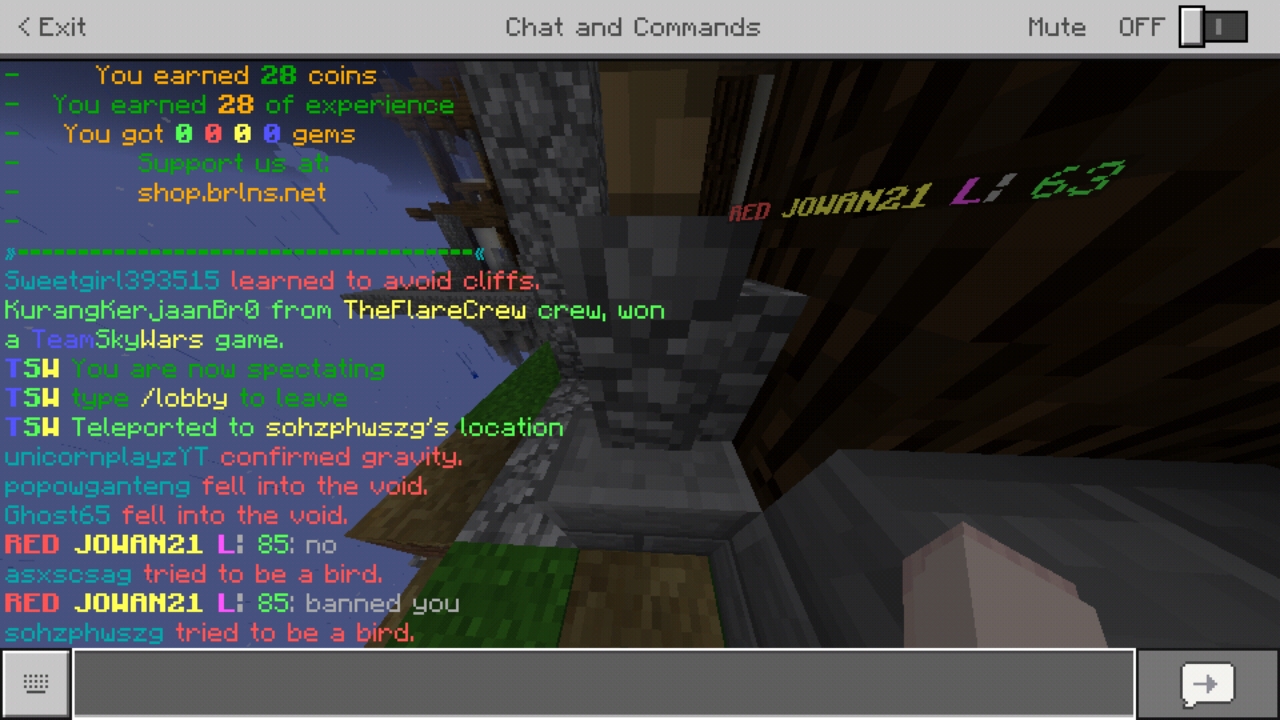 Screenshot_20190313-082933_Minecraft.jpg