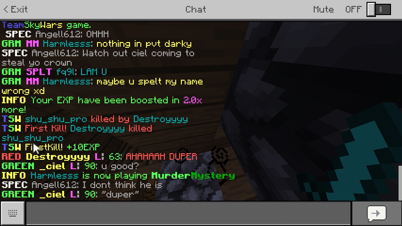 Screenshot_20190313-195052_Minecraft.jpg